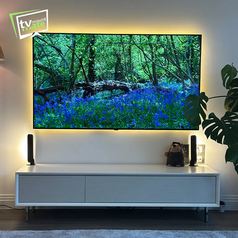 TV wall mounting service in London with hidden cables