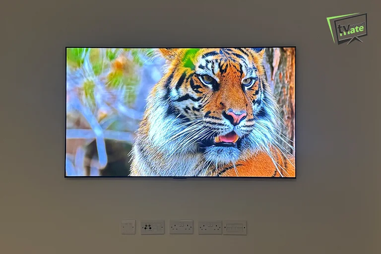65-inch LG G5 OLED television mounted on a living room wall